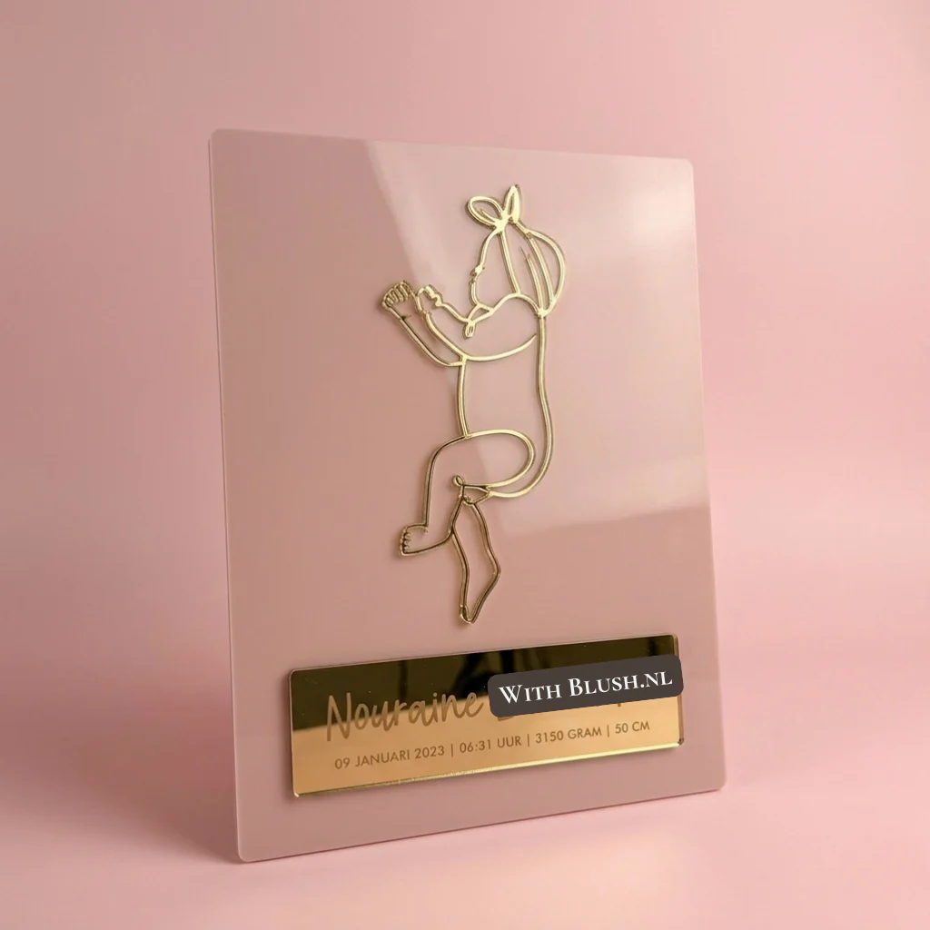Miniatuur 1