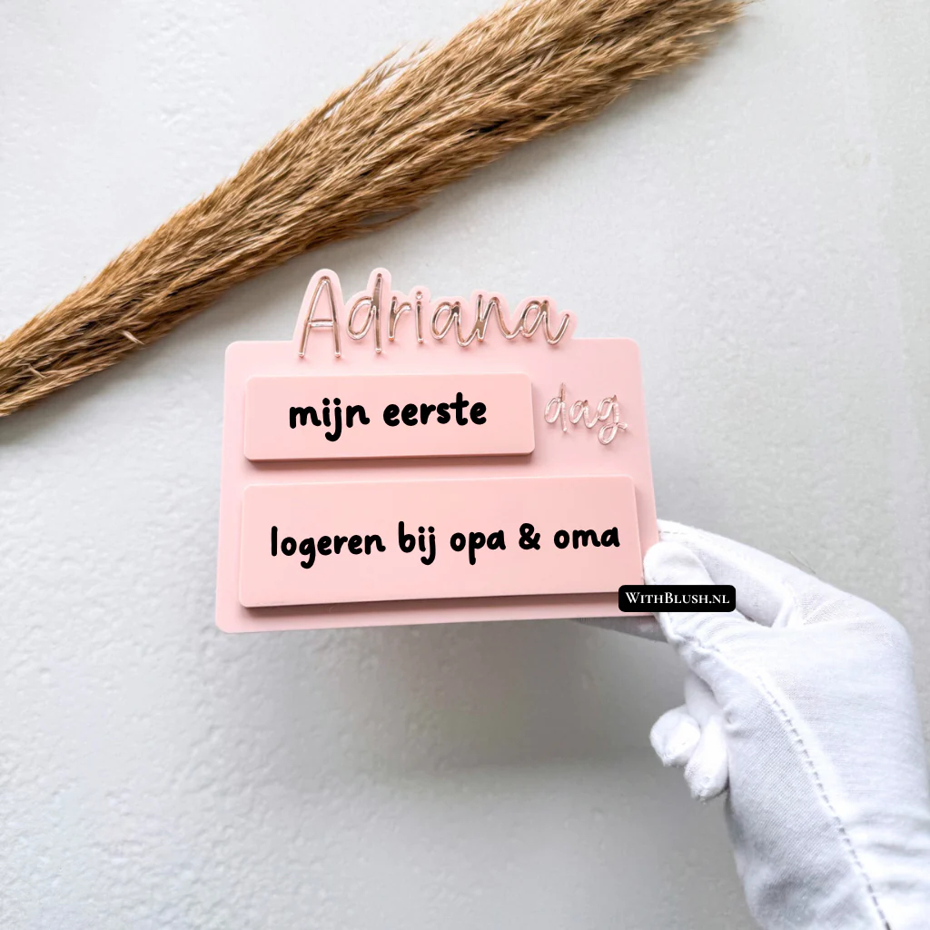 Miniatuur 1